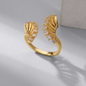 JANI Ring